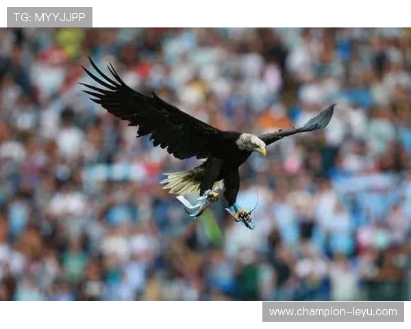 拉齐奥重启主场放飞雄鹰仪式：新鹰将亮相，球迷可参与命名投票