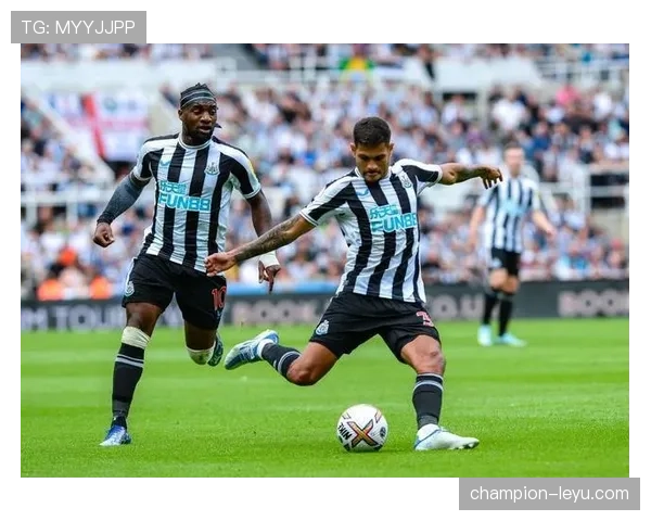 布莱顿数据分析揭示新趋势，未来发展潜力巨大引关注