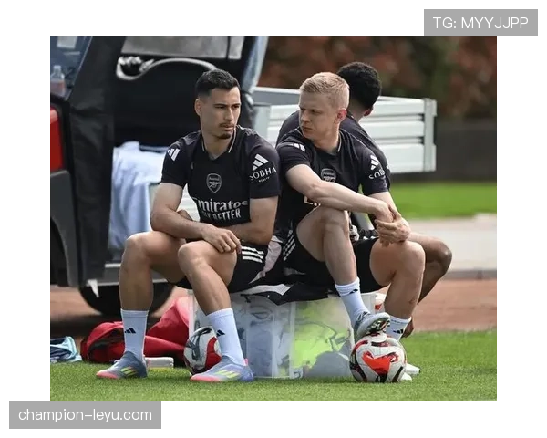 樱桃军团新赛季剑指佳绩，英超赛场蓄势待发