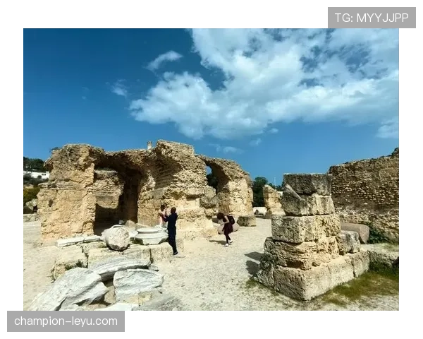 突尼斯迦太基之鹰:历史遗迹保护面临新挑战,专家呼吁加强未来应对策略 突尼斯迦太基之鹰:历史遗迹保护面临新挑战,专家呼吁加强未来应对策略