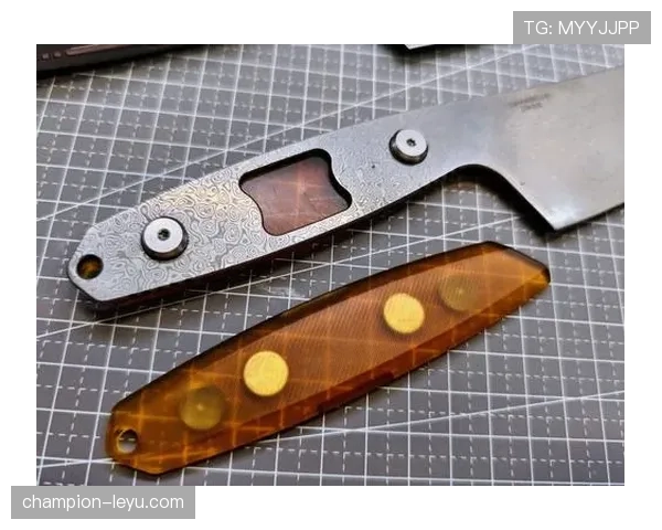 普乌德·多克表现稳健，助力球队持续提升英超竞争力