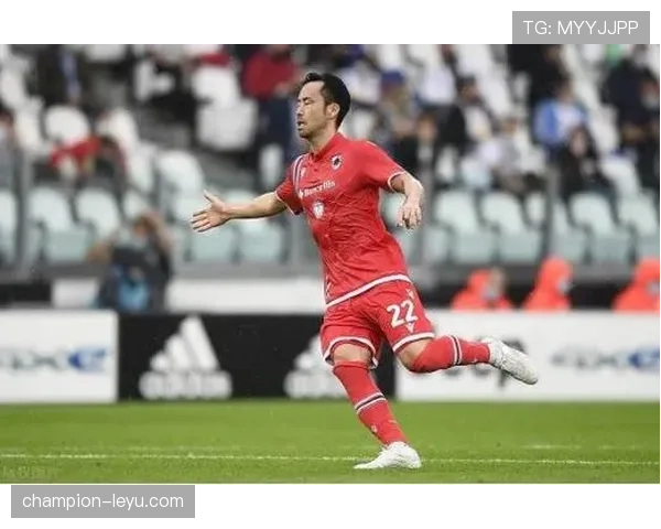 桑普整体实力 桑普整体实力